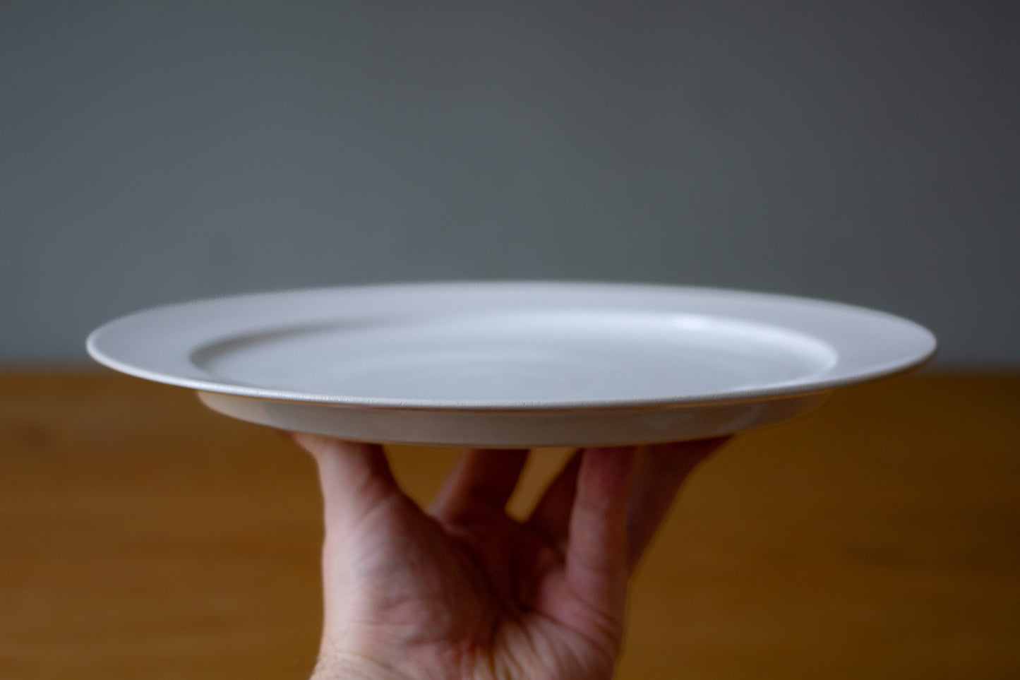 Dinner plate medium